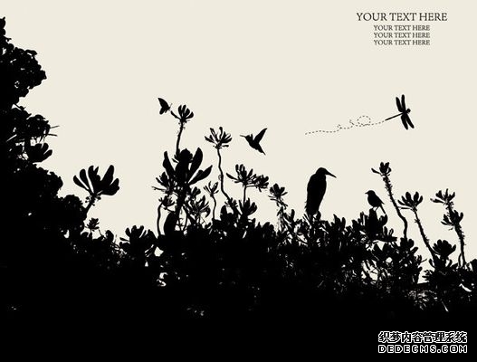 代号深渊之歌游戏下载合集